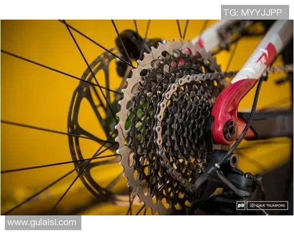 职业球队必一科技装备揭秘助力训练提升竞技水平的黑科技应用